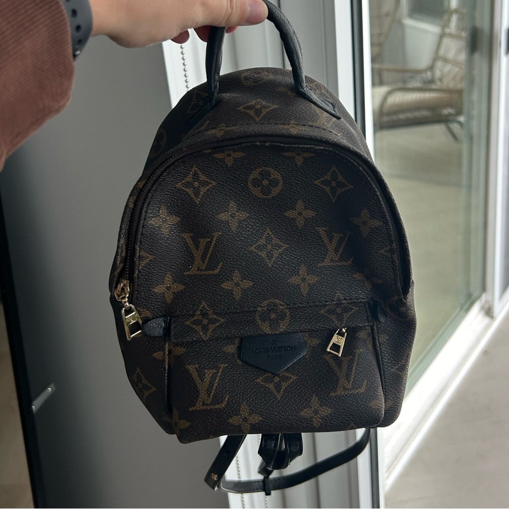 Luxurious Mini Louis Vuitton Palm Springs Backpack